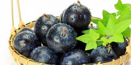 Gem aszalt szilva a tél - a recept ízletes előforma zselatinnal (finom) Gem aszalt szilva a tél - a recept ízletes előgyártmány zselatin