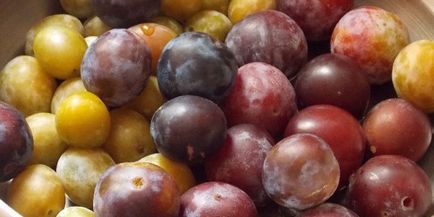 Gem aszalt szilva a tél - a recept ízletes előforma zselatinnal (szilva) Gem aszalt szilva a tél - a recept ízletes előgyártmány zselatin