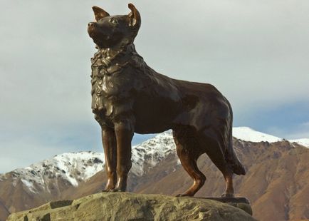 James McKenzie și Scottish Collie