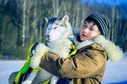 Excursii la grădinița din Husky din regiunea Moscovei