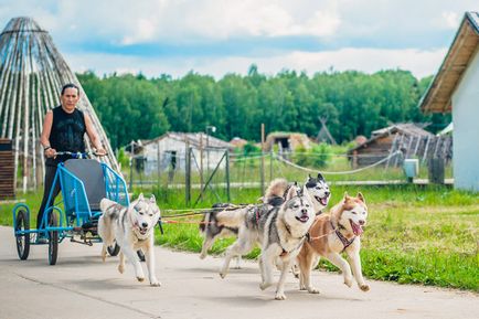 Excursii la grădinița din Husky din regiunea Moscovei