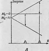 Splitarea electronică în moleculele organice