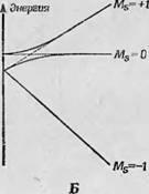 Splitarea electronică în moleculele organice