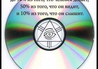 Фікус чорний принц догляд в домашніх умовах і фото, чи можна тримати вдома і розмноження, де купити