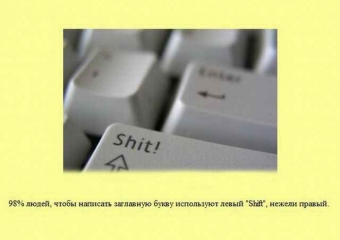 Фікус чорний принц догляд в домашніх умовах і фото, чи можна тримати вдома і розмноження, де купити