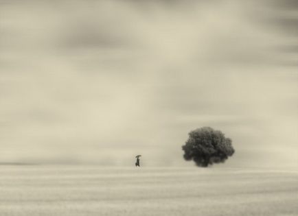 Fotografia singurătății, cesar blay - fotografie frumoasă despre singurătate, fotografie a singurătății omului - fotografie