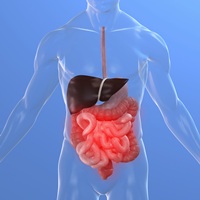Gastroenterologia bolii tractului gastro-intestinal (organe digestive), boli