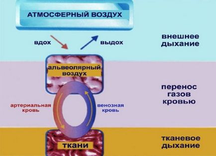 Hipercapnie și hipoxemie - simptome și tratament