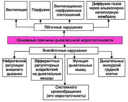 Гіперкапнія і гіпоксемія - симптоми і лікування