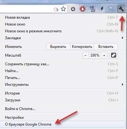 Google Chrome 18 portabil 3 Suplimente necesare