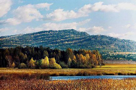 Mountain sugomak leírás, jellemzők, szabadidős