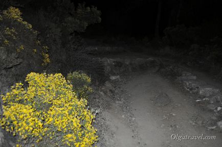 Égő Mountain kiméra pulyka vagy Yanartash