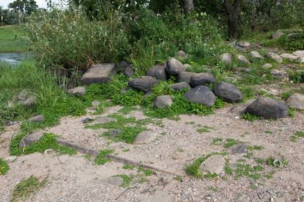 Грузино (новгородська область)