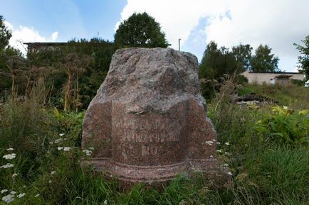 Грузино (новгородська область)