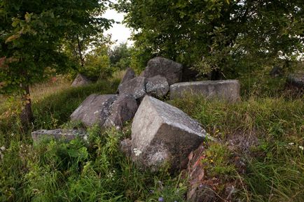 Грузино (новгородська область)