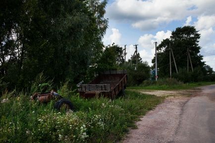 Грузино (новгородська область)