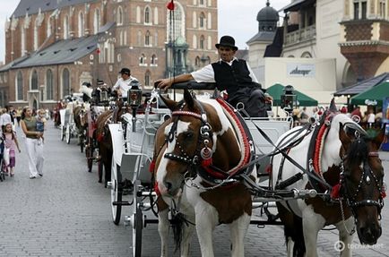 Ziua perfectă în Cracovia