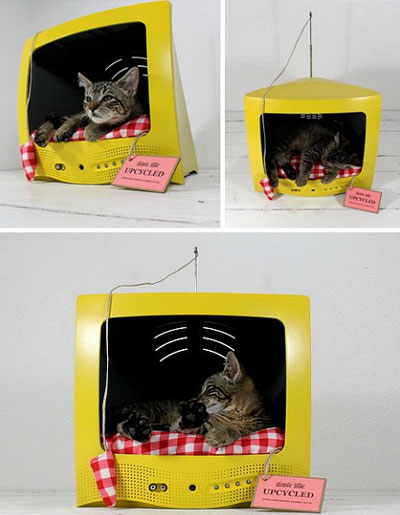 Idei pentru un interior în care o pisică trăiește o pătuț de epocă pentru o pisică, un hamac de patut și un tampon de zgârieturi