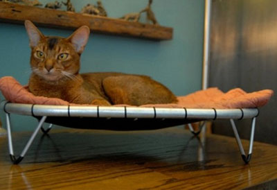 Idei pentru un interior în care o pisică trăiește o pătuț de epocă pentru o pisică, un hamac de patut și un tampon de zgârieturi