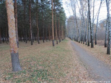 Zone interesante Kharkiv Dokuchaevsky iaz și parcul dendrologic