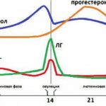 Як алкоголь впливає на місячні у жінки