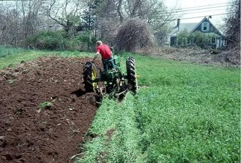 Як боротися з фітофторою на картоплі симптоми захворювання, ніж обробляти