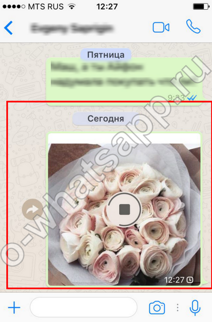 Як додати фото в ватсап на телефоні як вставити фото в whatsapp