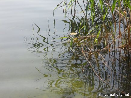 Cum să fotografiezi reflecția în apă