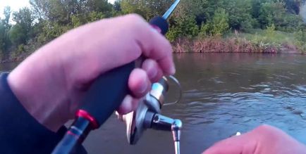 Cum de a prinde pescuitul asp - pe!