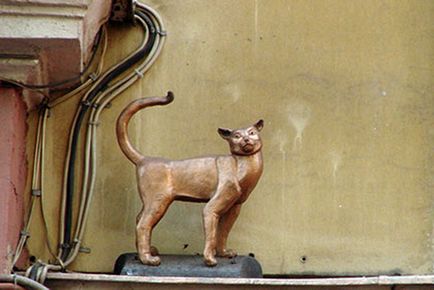 Hogy - miau Division - Leningrád, mentett vagy miért értékes macska nem vadállat