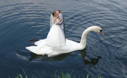 Cum să nu scoți nunta