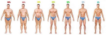 Як визначити відсоток жиру в організмі, як дізнатися відсоток підшкірного жиру в організмі, зміст