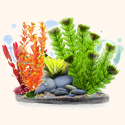 Як правильно запустити акваріум з живими рослинами
