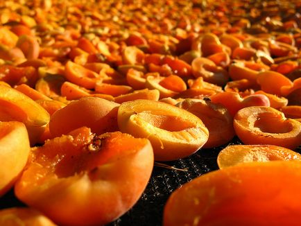 Як приготувати сухофрукти з абрикосів корисні поради!