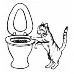 Как да привикнат котката в тоалетната