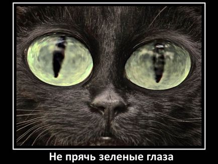 Hogyan demotivator a PowerPoint, a kép bemutatása (előadás powerpoint) Hogyan demotivator a PowerPoint, a kép bemutatásához