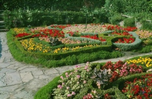 Cum sa faci un pat de flori cu mainile tale unde sa inceapa si ce flori sa aleaga