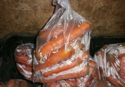 Як зберігати моркву в домашніх умовах в квартирі на балконі