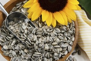 Conținutul caloric al semințelor de floarea-soarelui, proprietățile lor utile și principiile de utilizare corespunzătoare
