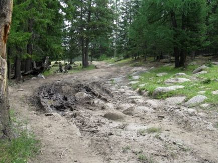 Descoperire Karagem, ghețarul Taldurinsky, râurile bashkaus (iulie-august 2010), Altai 4х4