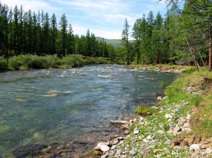 Descoperire Karagem, ghețarul Taldurinsky, râurile bashkaus (iulie-august 2010), Altai 4х4