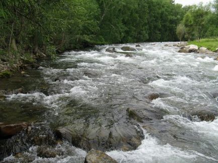 Карагемскій прорив, талдурінскій льодовик, верхів'я річки Башкаус (липень-серпень 2010 року), Алтай 4х4