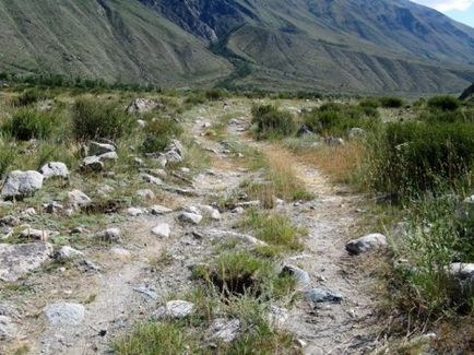 Descoperire Karagem, ghețarul Taldurinsky, râurile bashkaus (iulie-august 2010), Altai 4х4