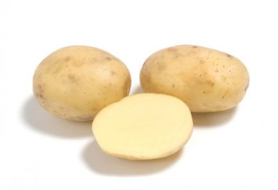 Картопля Коломбо опис сорту, його характеристика та фото