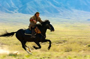 Avantaje și dezavantaje ale calului kazah de conținut - portal agricol