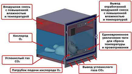 Киснева камера і кисень для тварин, собак, кішок, інститут ветеринарної біології