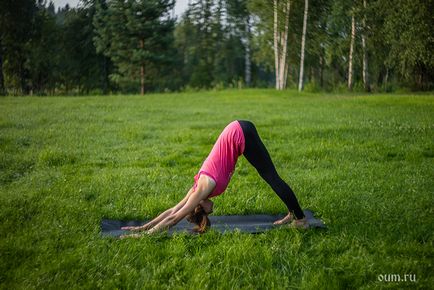 Complexul surya namaskar - totul despre practicarea yoga - salutul soarelui