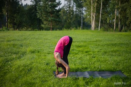 Complexul surya namaskar - totul despre practicarea yoga - salutul soarelui