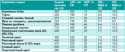 Кормові боби, горох і інше білкове сировину в годівлі ВРХ