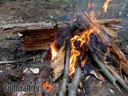 Bonfire în pădurea umedă, casa mea din taiga